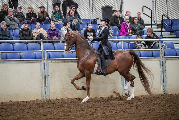 Spring Fling - Saturday - April 20, 2019  -  04147