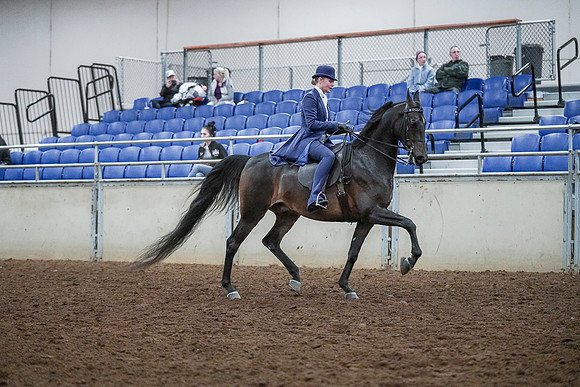 Spring Fling - Saturday - April 20, 2019  -  00779