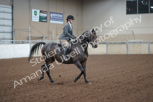 2019 Morgan Horse Show - Sept 01, 2019 - 11013