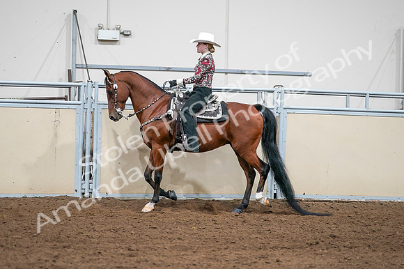 2020 - AB Morgan Horse - Fri, Sept 04 - 08409