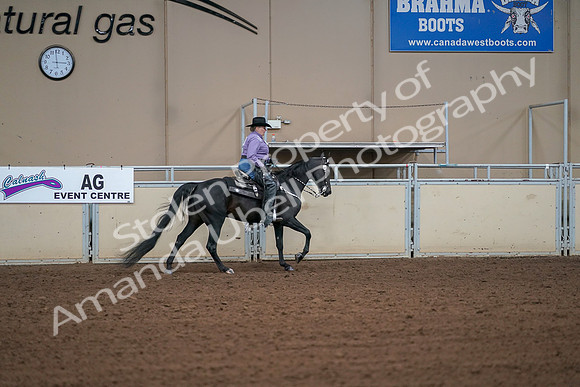 2019 Morgan Horse Show - Aug 30, 2019 - 16998