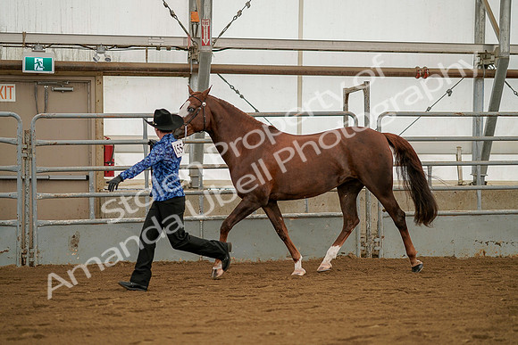 July 19, 2019 - 1289