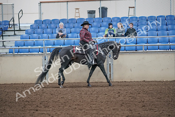 2019 Morgan Horse Show - Aug 31, 2019 - 10672