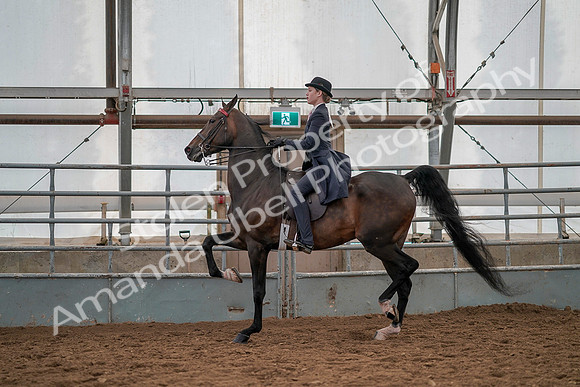 July 19, 2019 - 12921