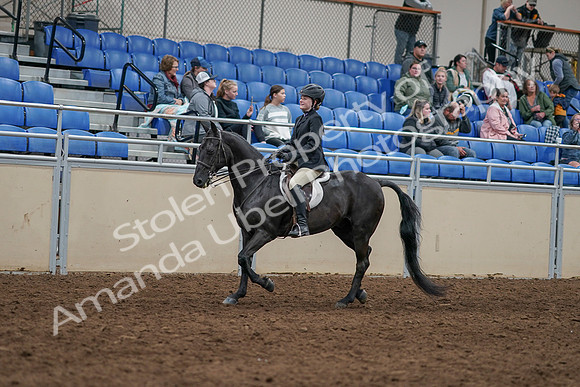 2020 - AB Morgan Horse - Sun, Sept 06 - 07770