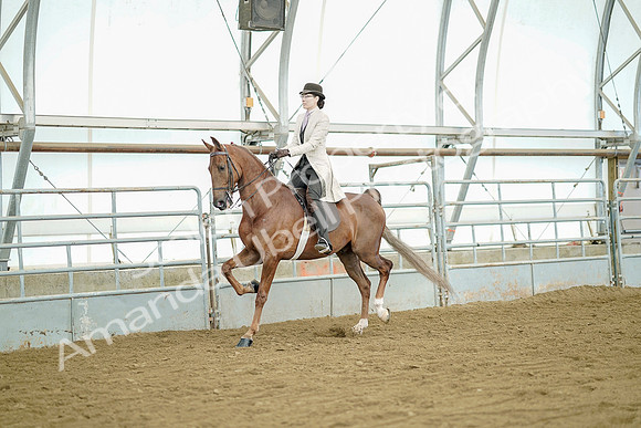 July 20, 2019 - 07731