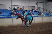 2019 Morgan Horse Show - Aug 31, 2019 - 09934