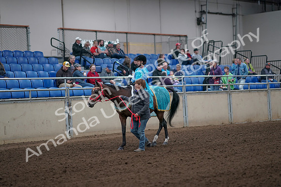 2019 Morgan Horse Show - Aug 31, 2019 - 09934