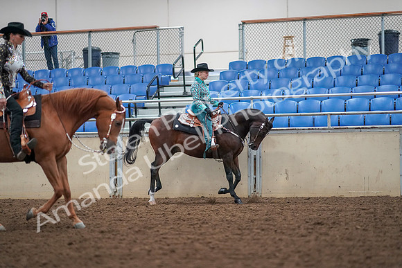 2019 Morgan Horse Show - Aug 30, 2019 - 16965