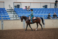 2019 Morgan Horse Show - Aug 30, 2019 - 16709