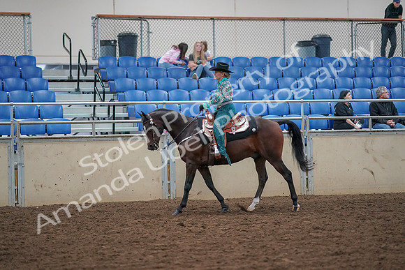 2019 Morgan Horse Show - Aug 30, 2019 - 16709
