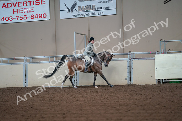 2019 Morgan Horse Show - Aug 30, 2019 - 17599