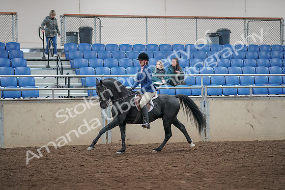 2019 Morgan Horse Show - Aug 31, 2019 - 07342