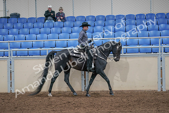 2020 - AB Morgan Horse - Fri, Sept 04 - 08479