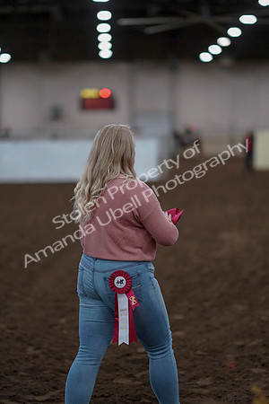 2019 Morgan Horse Show - Sept 01, 2019 - 12092