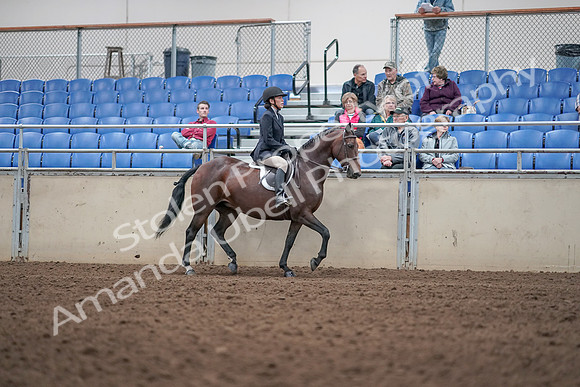 2019 Morgan Horse Show - Aug 31, 2019 - 19587