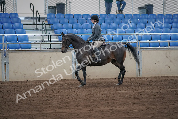 2019 Morgan Horse Show - Sept 01, 2019 - 10897