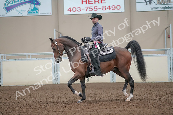 2019 Morgan Horse Show - Aug 31, 2019 - 06290