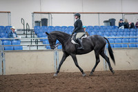 2019 Morgan Horse Show - Aug 31, 2019 - 14643