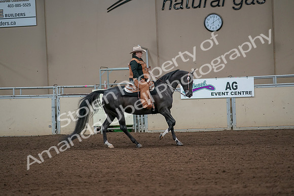 2019 Morgan Horse Show - Aug 31, 2019 - 06172