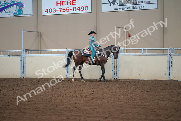 2019 Morgan Horse Show - Aug 30, 2019 - 17036