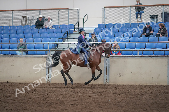 2019 Morgan Horse Show - Aug 31, 2019 - 09686