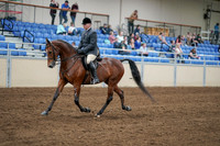 2020 - AB Morgan Horse - Sat, Sept 05 - 06869
