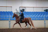 2019 Morgan Horse Show - Aug 30, 2019 - 21401