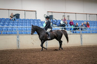 2019 Morgan Horse Show - Aug 30, 2019 - 13888