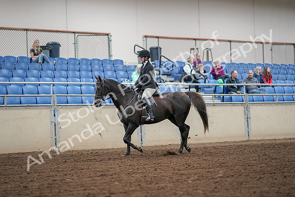 2019 Morgan Horse Show - Aug 30, 2019 - 13888