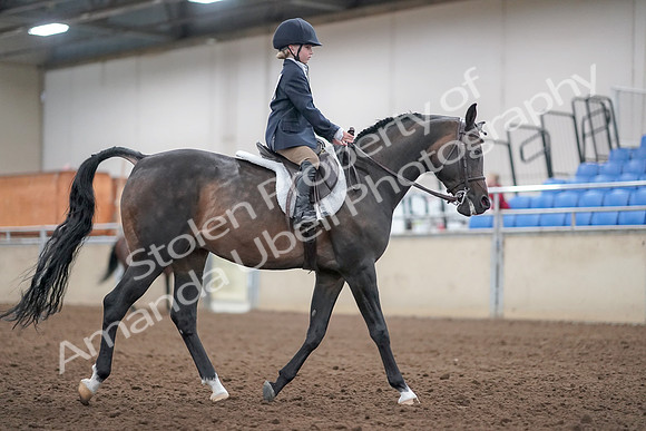 2019 Morgan Horse Show - Aug 31, 2019 - 19579