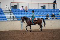 2019 Morgan Horse Show - Aug 30, 2019 - 16705
