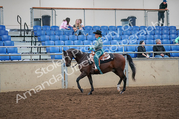 2019 Morgan Horse Show - Aug 30, 2019 - 16705