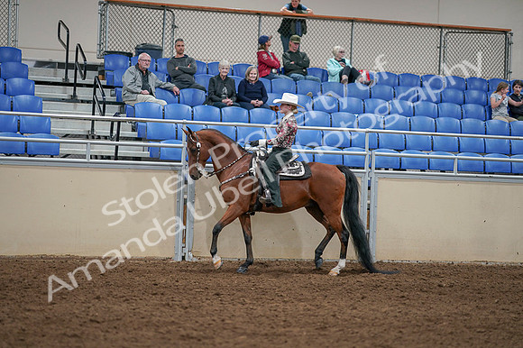 2020 - AB Morgan Horse - Fri, Sept 04 - 08316