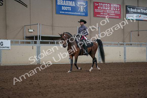 2019 Morgan Horse Show - Aug 31, 2019 - 06253