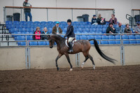 2019 Morgan Horse Show - Aug 31, 2019 - 15853