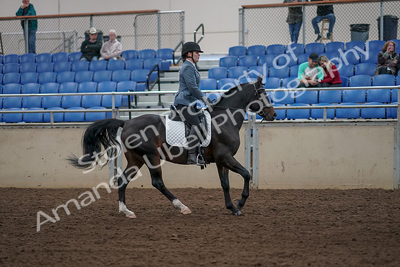 2019 Morgan Horse Show - Aug 31, 2019 - 07511