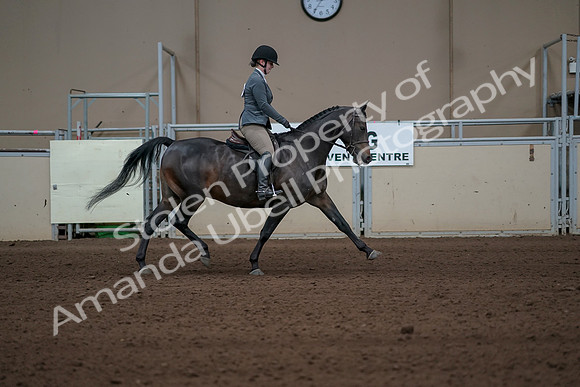 2019 Morgan Horse Show - Sept 01, 2019 - 11058