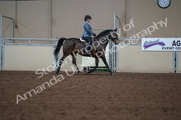 2019 Morgan Horse Show - Aug 30, 2019 - 18521