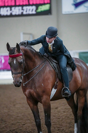 Spring Fling - Saturday - April 20, 2019  -  00867