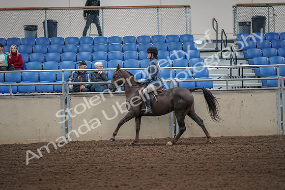 2019 Morgan Horse Show - Aug 31, 2019 - 05053