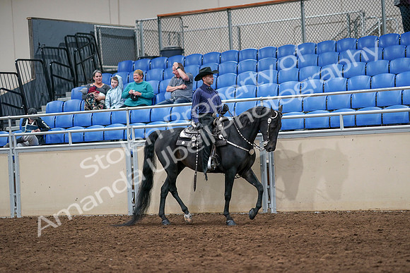 2020 - AB Morgan Horse - Sun, Sept 06 - 07525