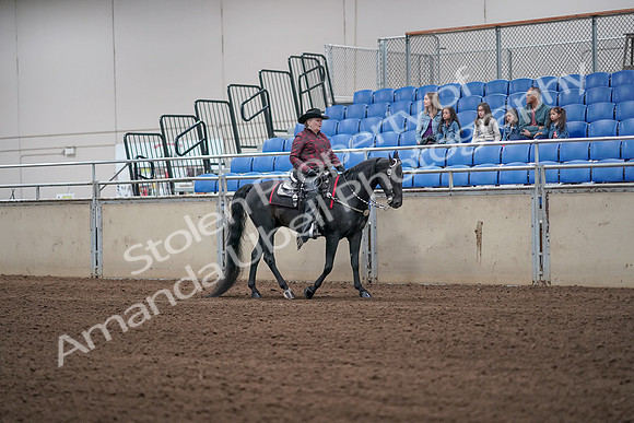 2019 Morgan Horse Show - Aug 31, 2019 - 10659