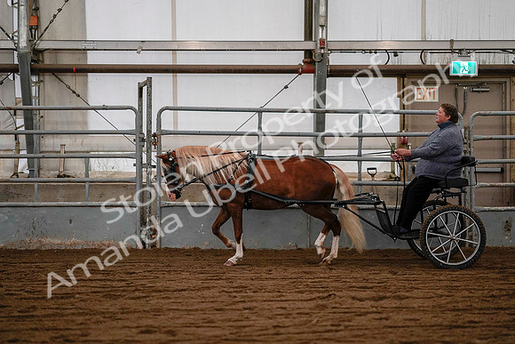 July 19, 2019 - 7084
