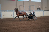 2019 Morgan Horse Show - Sept 01, 2019 - 05924