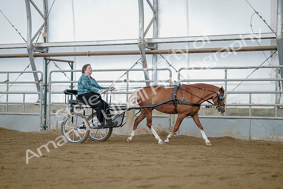 July 21, 2019 - 05991