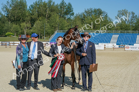 2024 - WCB - July 19 - 03763