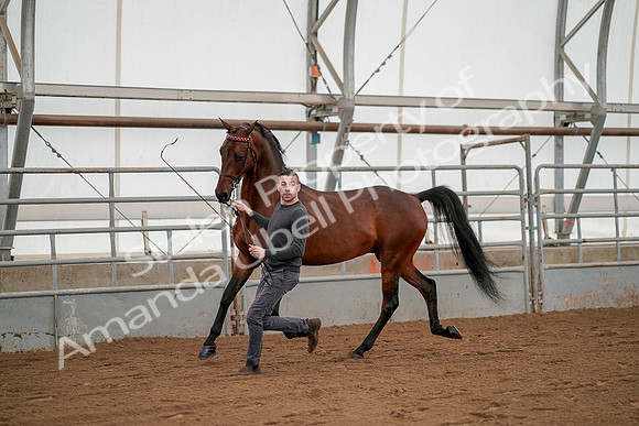 July 19, 2019 - 1182