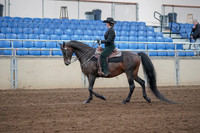 2019 Morgan Horse Show - Sept 01, 2019 - 11204