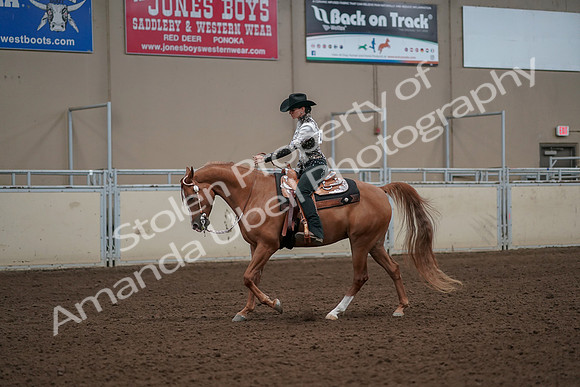 2019 Morgan Horse Show - Aug 30, 2019 - 26052